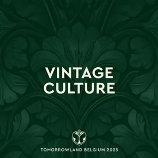 Vintage Culture