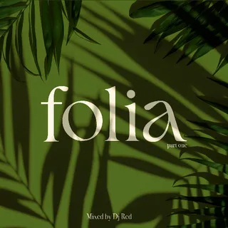 DJ Red - Folia Part One