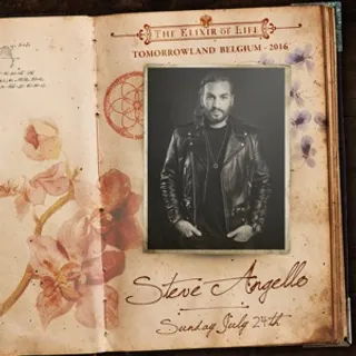 Steve Angello