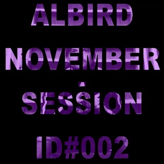 AlBird - November Podcast 002