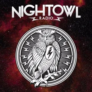 Walker & Royce & Bart Skils - Night Owl Radio 507