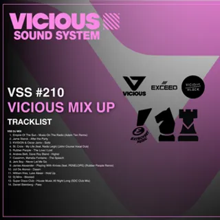 Vicious - Vicious Sound System 210