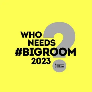 EDM LAB - WhoNeedsBigRoom? (Best of BigRoom 2023)