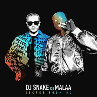 DJ Snake