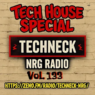 Techneck - Tech House Special 133