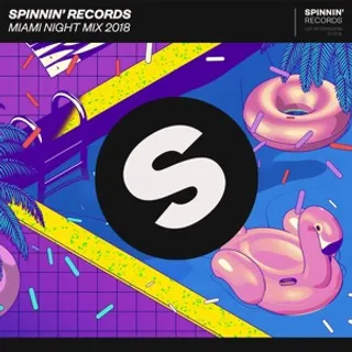 SPINNIN' - Miami Night Mix