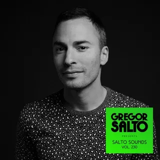Gregor Salto