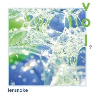 Tensnake - In Your System Vol. 09 (Pool Edition)