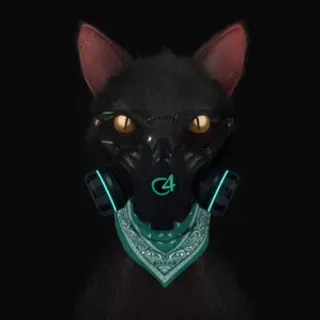 Gato De Noche (Ella Remix)