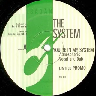 You Are In My System (Atmospheric Vocal)