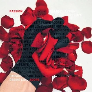 Passion (Michael Klein Remix)