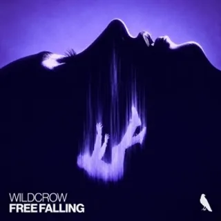 Free Falling