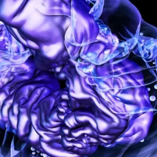 Sinjin Hawke