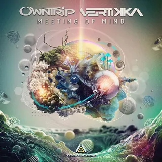 Vertikka
