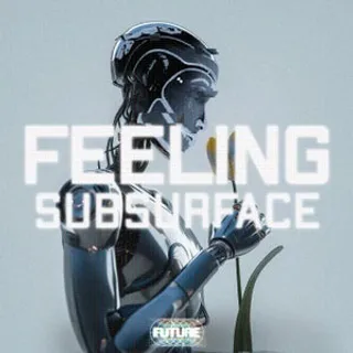 Subsurface