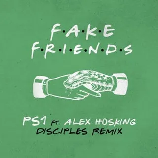 Fake Friends (Disciples Remix)