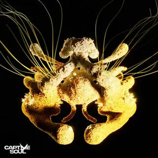 Dreams vs. Higher Calling (Gryffin Edit)