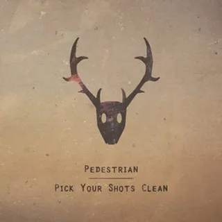 Pick Your Shots Clean