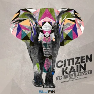 The Elephant
