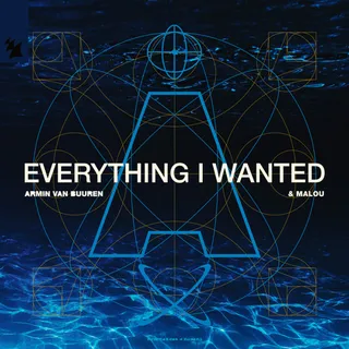 Everything I Wanted