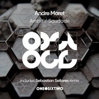 Ambit (Sebastian Sellares Remix)