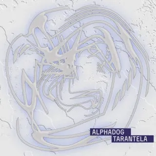 Tarantela