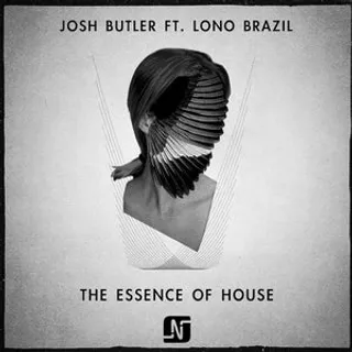 The Essence Of House (METODI Remix)