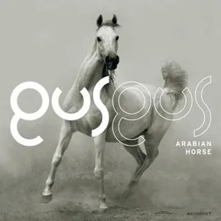 Selfoss (Deepfunk Unofficial Remix)