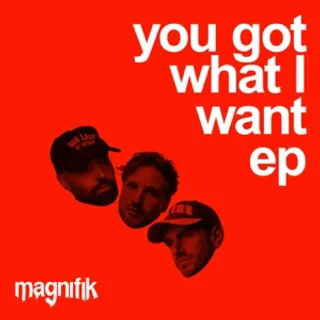 You Got What I Want