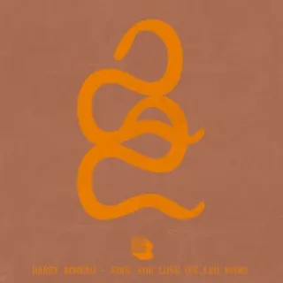 Fool For Love (Chris Lake Edit)