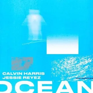 Ocean (Mike Williams Remix)