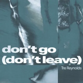 Don't Go (Don't Leave)