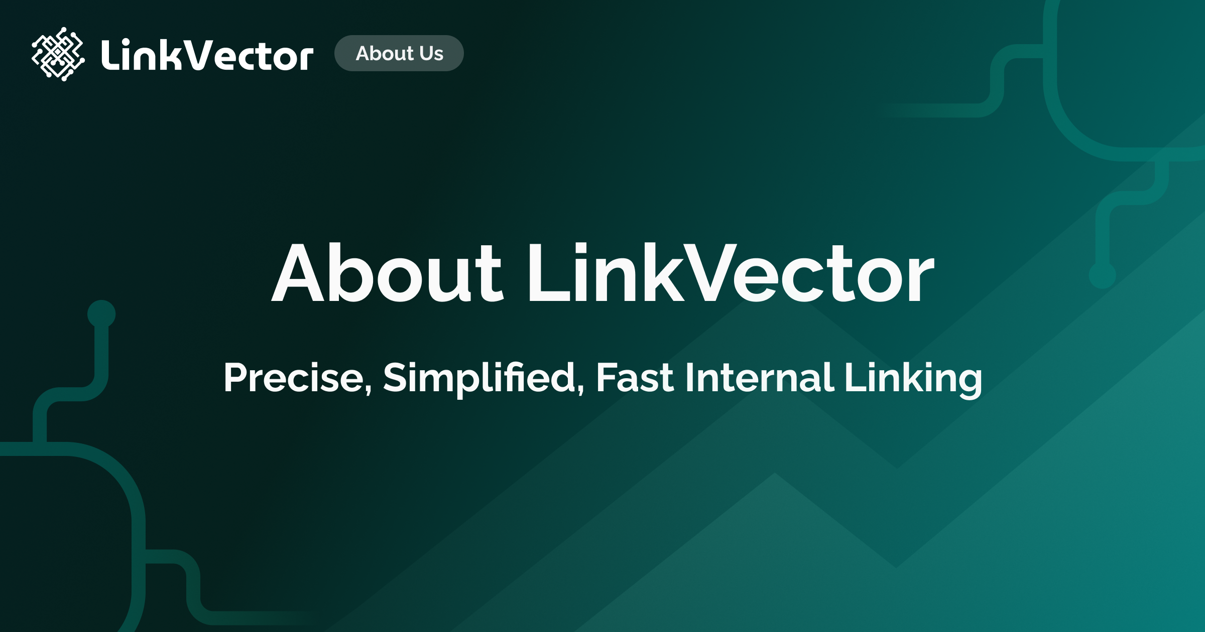 About LinkVector