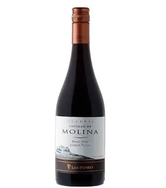 Castillo De Molina Pinot Noir  - Liquor Stream