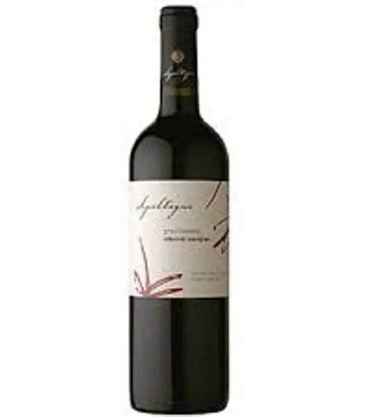 gran verano cabernet sauvignon - Liquor Stream