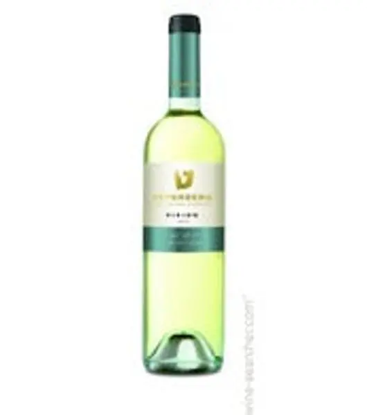 Teperberg Vision Dry White - Liquor Stream