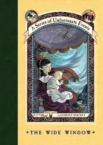 Cover of The Wide Window