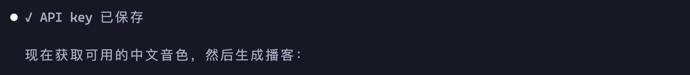 API Key 保存成功，后续使用无需重复配置