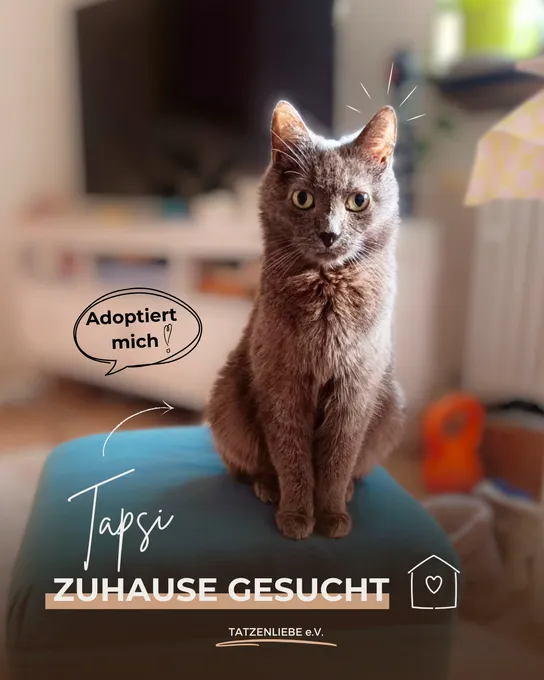 Tapsi - ekh zur Adoption