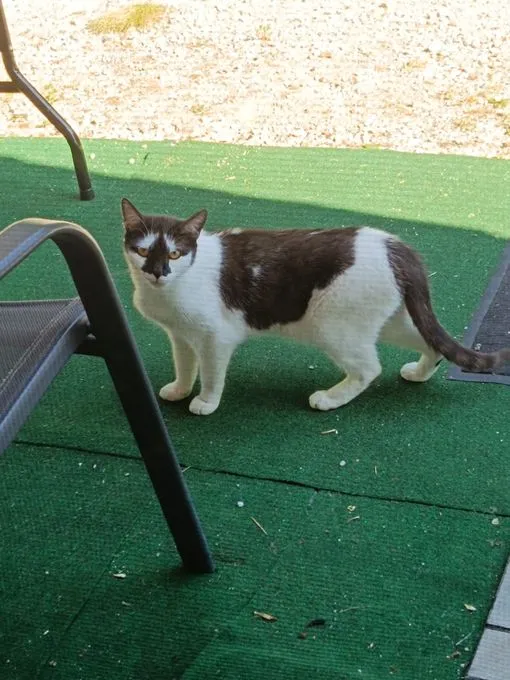 Inge - ekh zur Adoption