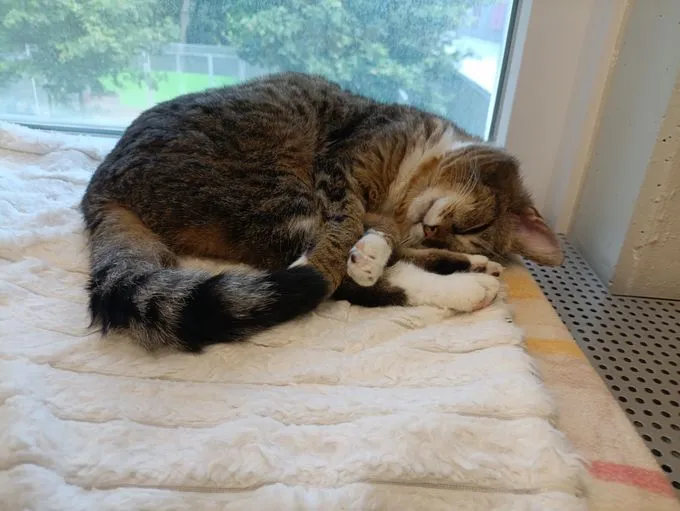 Natalia - ekh zur Adoption