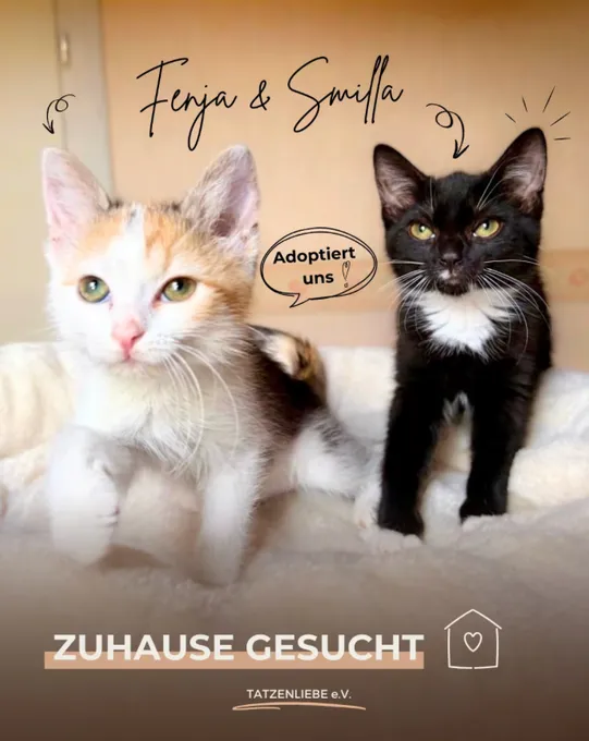 Smilla & Fenja Fussel - ekh zur Adoption