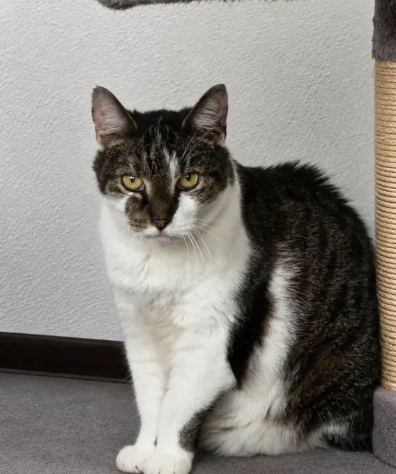 Trudi & Lisa - ekh zur Adoption