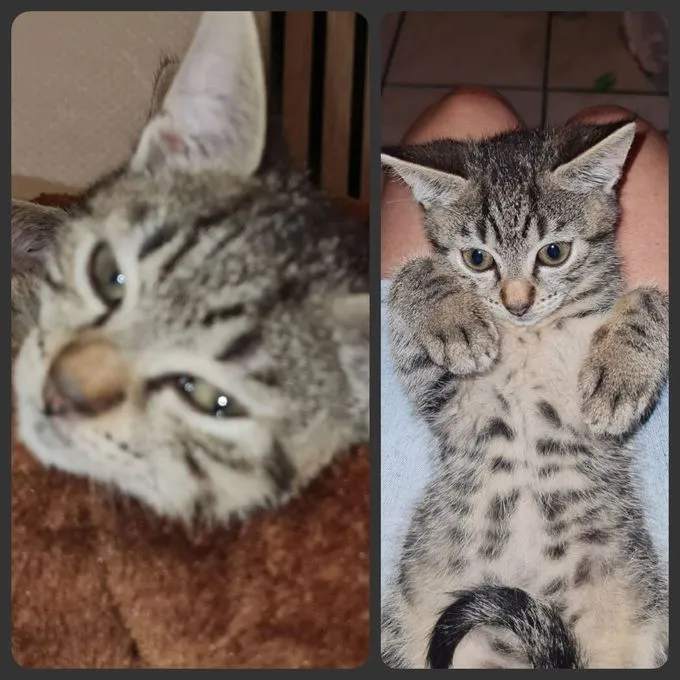 Bonnie&Clyde - ekh zur Adoption
