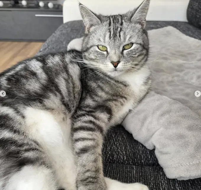 Paula - ekh zur Adoption