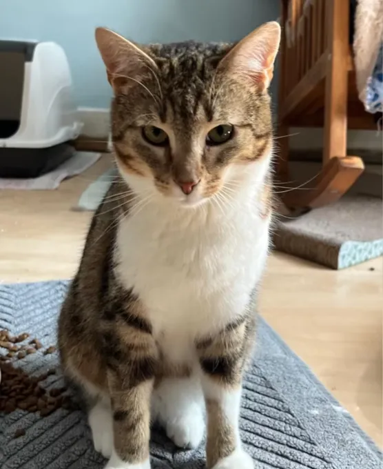 Tinalo - ekh zur Adoption
