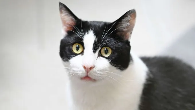 Fred & Samuel - ekh zur Adoption