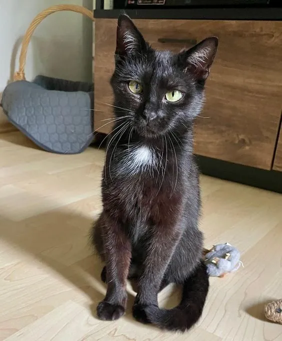 Hannah - ekh zur Adoption