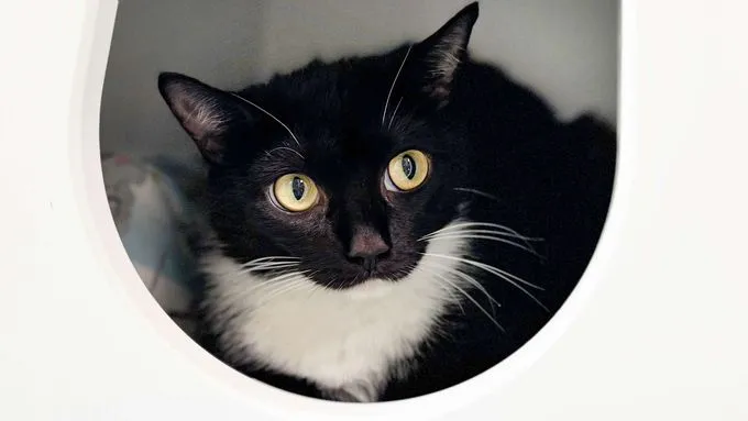 Luna Tuna & Karla Marla - ekh zur Adoption