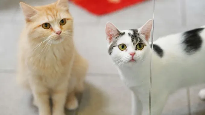 Lisi & Emmi - ekh zur Adoption